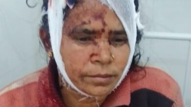 Photo of धनसोई में तमंचे के बल पर लूटपाट, विरोध करने पर मां बेटे को किया लहूलुहान