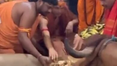 Photo of देशव्यापी गो – ध्वज स्थापना यात्रा तीसरे दिन पहुंची बक्सर …