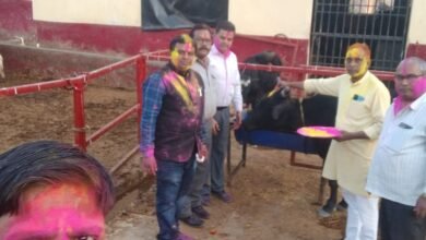 Photo of कायस्थ समाज ने गौशाला मे गायों संग खेली होली…
