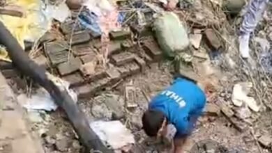 Photo of नाथ बाबा मंदिर से चोरी हुए चंदन के पेड़ बरामद, पुलिस दबिश से घबराकर चोरों ने गंगा में फेंका